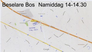 Oogstfeesten 4x4 8 Namiddag